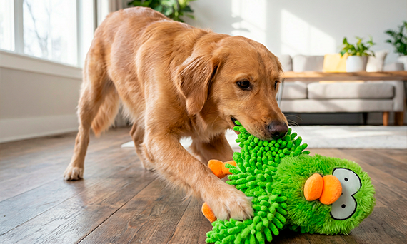 COOCKOO Bottle Squeaker – czy zabawka z piszczałką to dobry wybór dla psa?