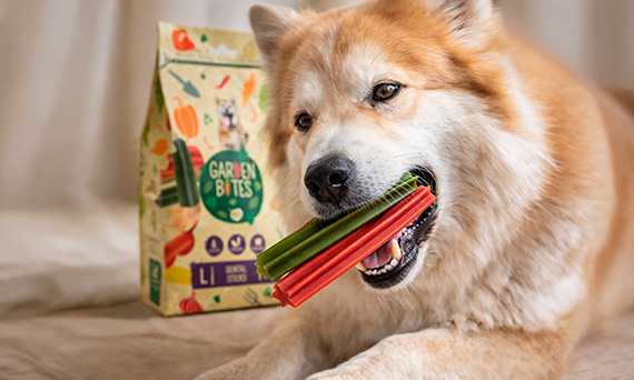 Garden Bites Dental Stick – czy przysmaki dentystyczne dla psa naprawdę działają?